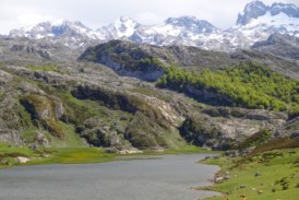 Hiking Around the Covadonga Lakes