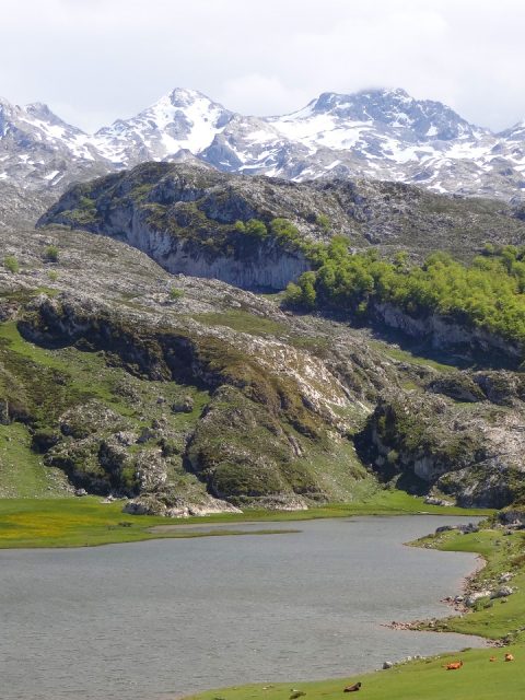 Covadonga Lakes