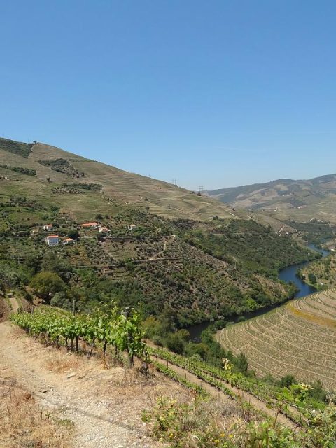 Douro