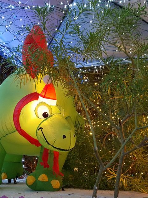 Robolights Palm Springs