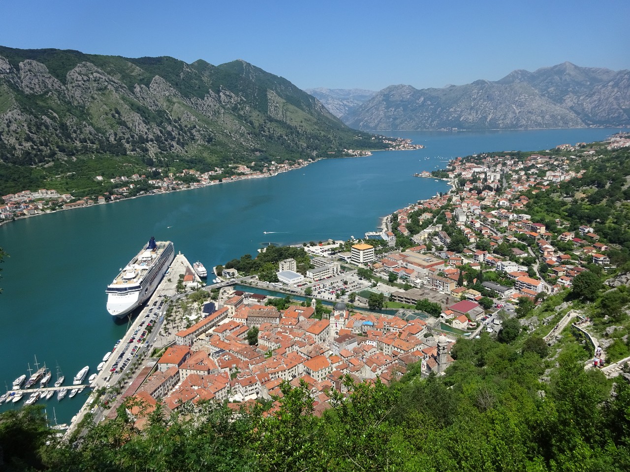 Kotor