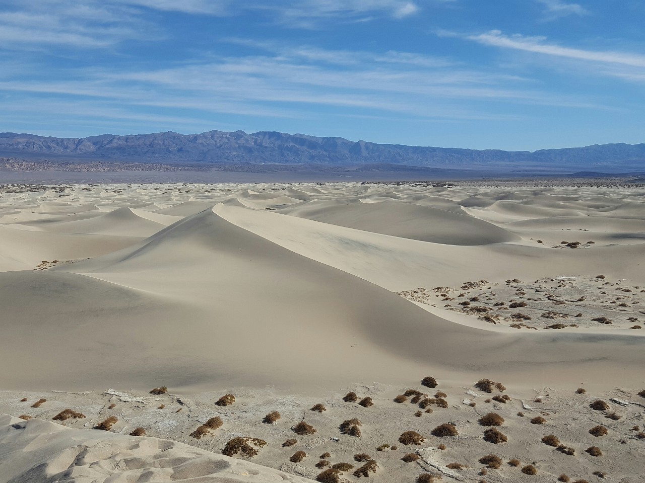 Death Valley Mesquite Flat