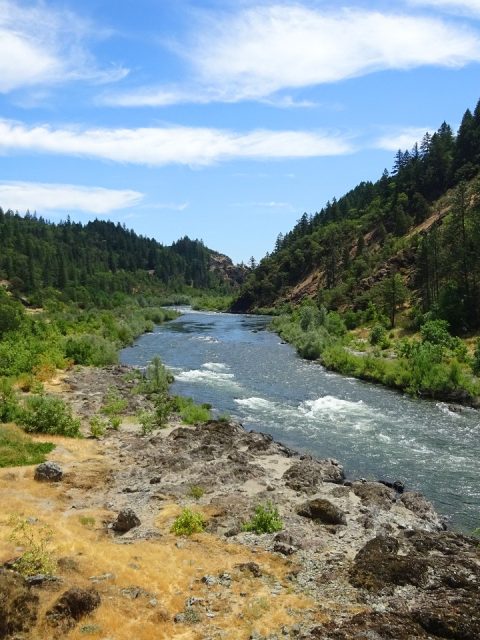 Rogue River wild and scenic
