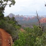 Hangover trail